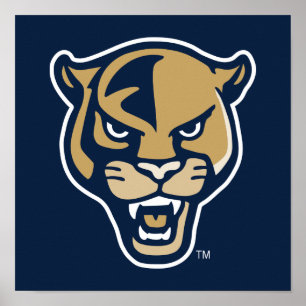 Poster FIU Panther