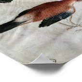 Poster Five Jays, de l'album Vallardi (Coin)