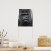 Poster Flachlandgorilla, Gorilla gorilla, (Cuisine)