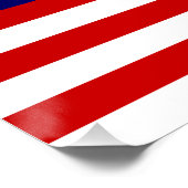 Poster Flag malaisien (Coin)