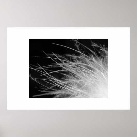 Poster flamant (Devant)