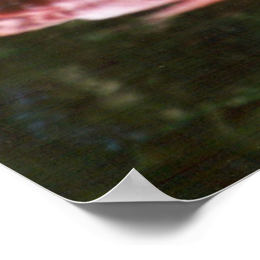 Poster flamant (Coin)