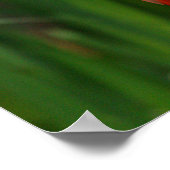 Poster flamant (Coin)