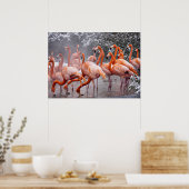 Poster Flamant américain, oiseau coloré, (Cuisine)