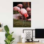 Poster Flamant - Le Flamant (Bureau à domicile)