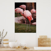 Poster Flamant - Le Flamant (Cuisine)