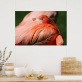 Poster Flamant rose (Cuisine)
