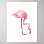 Poster Flamant rose (Devant)