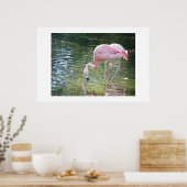 Poster Flamant rose (Cuisine)