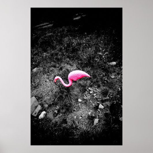 Poster flamant rose (Devant)