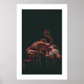 Poster Flamant rose (Devant)