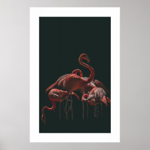 Poster Flamant rose