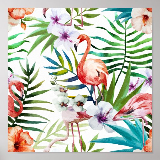 Poster Flamant rose (Devant)