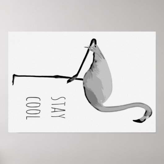 Poster Flamant rose #2 (Devant)