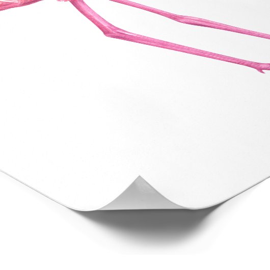 POSTER FLAMANT ROSE 2 (Coin)