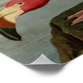 Poster Flamant rose américain (Coin)