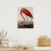 Poster Flamant rose américain (Cuisine)