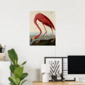 Poster Flamant rose américain (Bureau à domicile)
