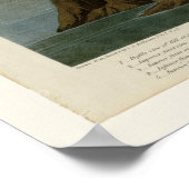 Poster Flamant rose américain (Coin)