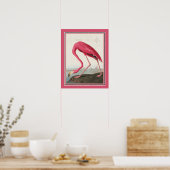 Poster Flamant rose américain d'Audubon (Cuisine)