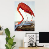 Poster Flamant rose américain - Faune par John Audubon (Bureau à domicile)