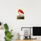 Poster Flamant rose américain John Audubon Birds of Ameri (Bureau à domicile)