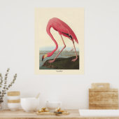 Poster Flamant rose américain | John James Audubon (Cuisine)