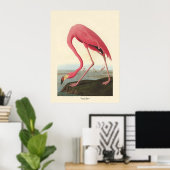 Poster Flamant rose américain | John James Audubon (Bureau à domicile)