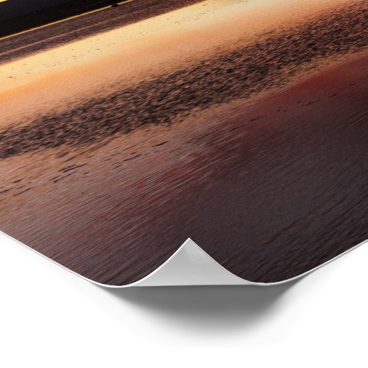 Poster Flamant rose chilien (Coin)