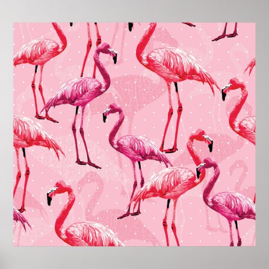 Poster Flamant rose Elégance : Motif d'oiseaux roses. (Devant)