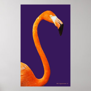 Poster Flamant rose En Bleu