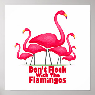 Poster Flamant rose Flamant rose