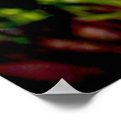 Poster Flamant rose Floride 1 (Coin)