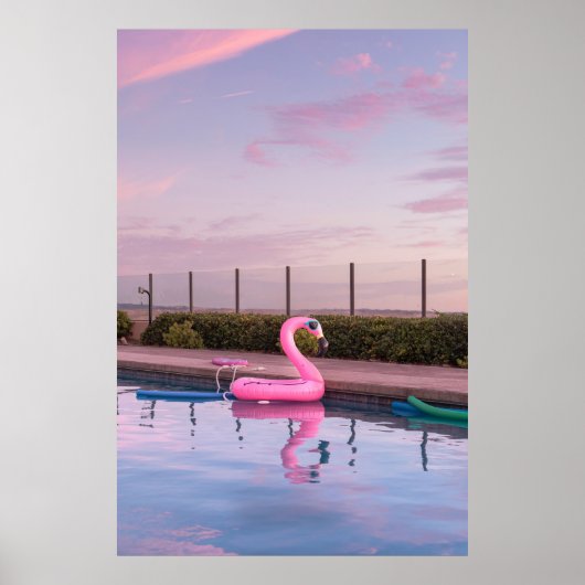 Poster Flamant rose flotteur dans la piscine (Devant)