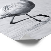 Poster Flamant rose noir et blanc Art tropical imprimable (Coin)