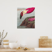 Poster FLAMANT ROSE PARK Audobon American Flamant rose Po (Cuisine)
