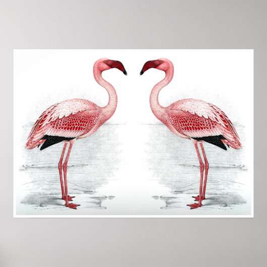 Poster FLAMANT ROSE PARKING Flamant rose Flock Art Imprim (Devant)