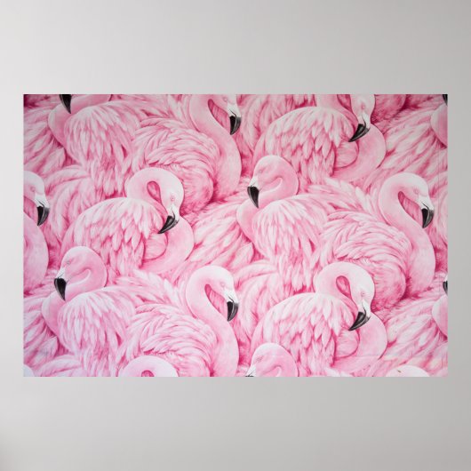 POSTER FLAMANT ROSE PARTOUT (Devant)