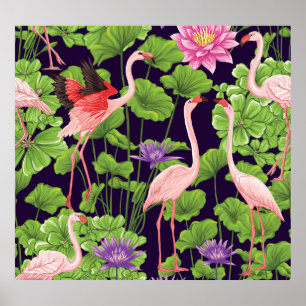 Poster Flamant rose, plantes tropicaux, arrière - plan no