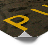 Poster Flamant rose PURA VIDA Playa (Coin)