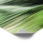 POSTER FLAMANT ROSE ROSE (Coin)