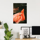 Poster Flamant rose rose (Bureau à domicile)