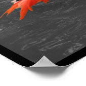 Poster Flamant rose rose (Coin)