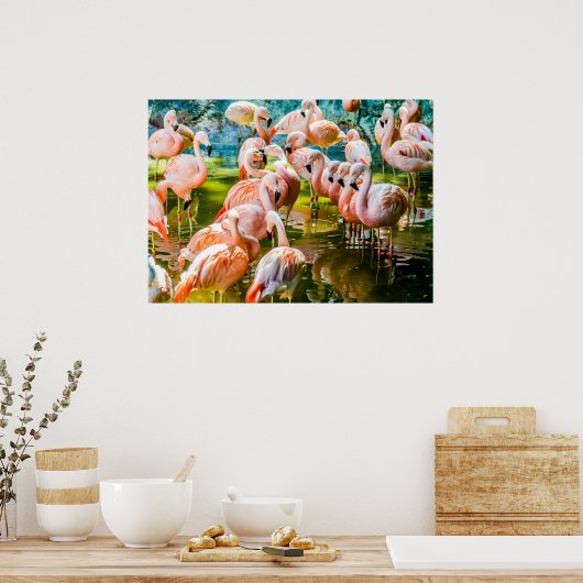Poster Flamant rose rose (Cuisine)