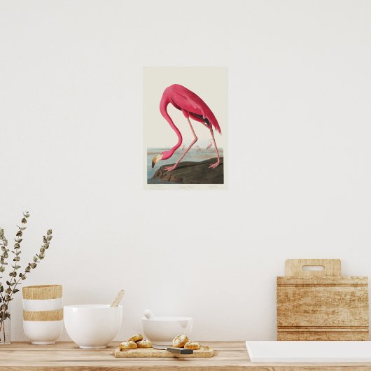 Poster Flamant rose rose (Cuisine)