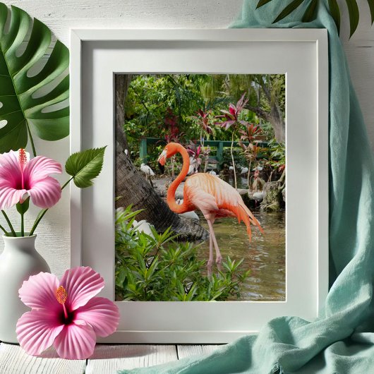 Poster Flamant rose rose Décor Photographie Bonita Spring