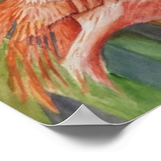 Poster Flamant rose rose exceptionnel (Coin)