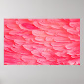 Poster Flamant rose rose Feathersflamingo, plume, rose, t (Devant)