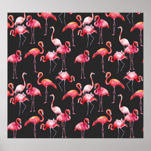 Poster Flamant rose rose : Motif d'aquarelle tropicale. (Devant)