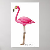 POSTER FLAMANT ROSE - SRF (Devant)
